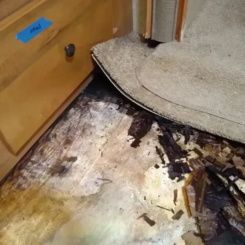 Wood Floor Water Damage in Vinita Park, MO